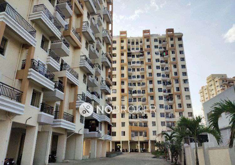 1 BHK Flat In Calyx Navyangan for Rent  In Pirangut