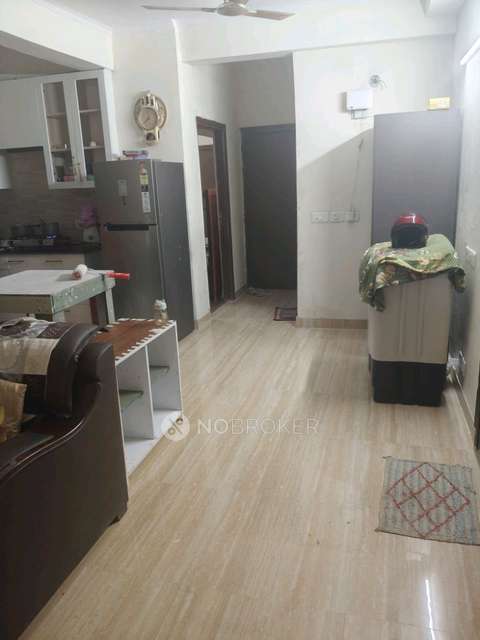 3 BHK Flat In Amrapali Terrace Homes For Sale  In Noida Extension, 