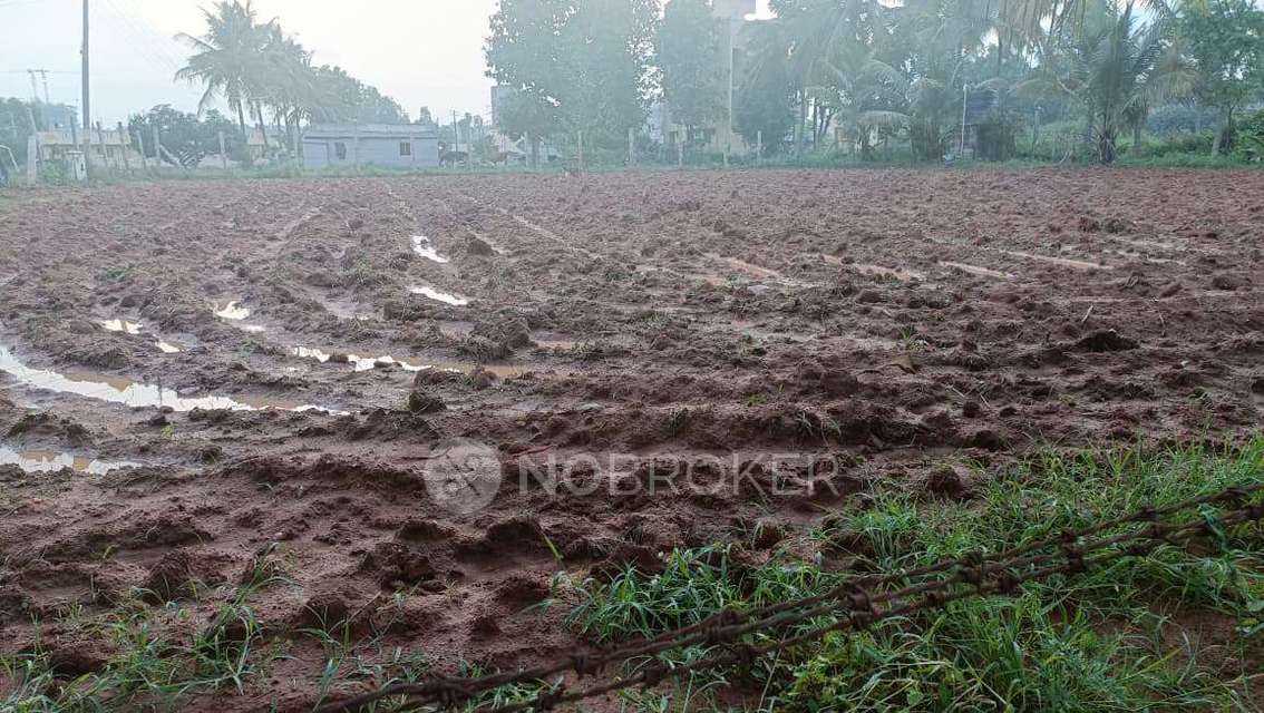 Industrial Shed in Bommasandra, Bangalore for Rent 