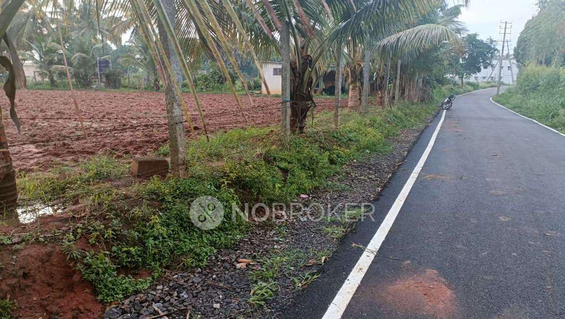 Industrial Shed in Bommasandra, Bangalore for Rent 