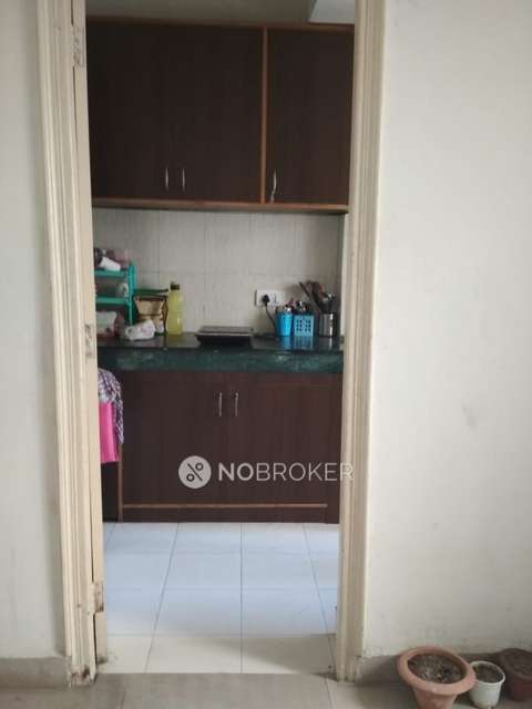 2 BHK Flat In Paras Tierea For Sale  In Sector 137