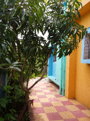 3 BHK House for Rent  In Sus Gaon