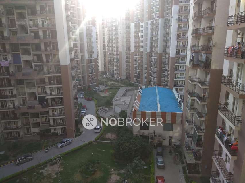 3 BHK Flat In Gardenia Glory Phase Ii for Rent  In Sector-46