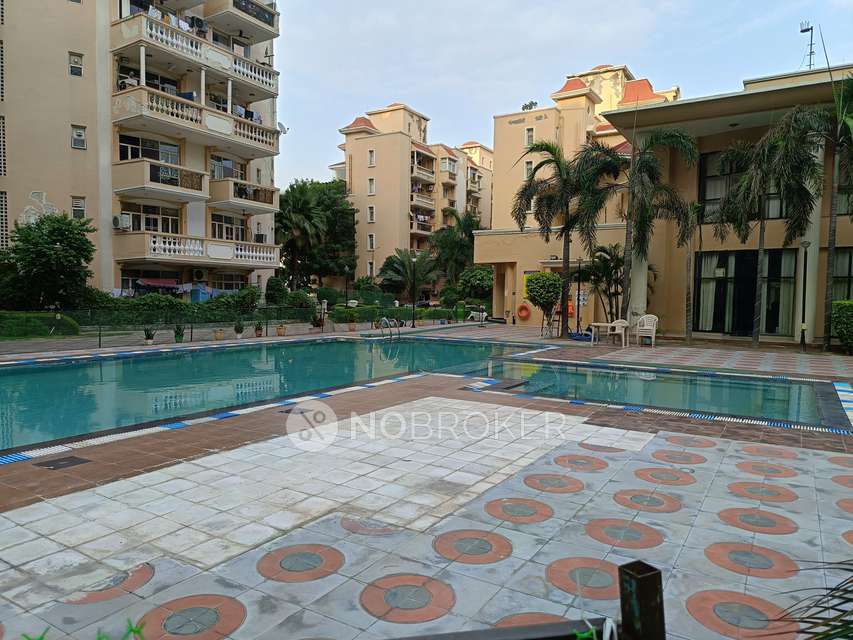 4+ BHK Flat In Parsvnath Greenville, Sector 48 for Rent  In Sector 48