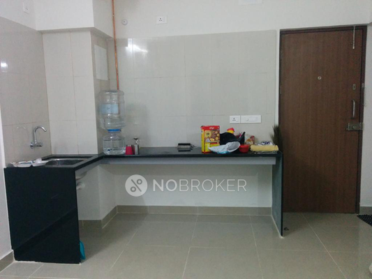 1 RK Flat In Blue Ridge - Paranjpe Schemes, Hinjawadi for Rent  In Hinjewadi