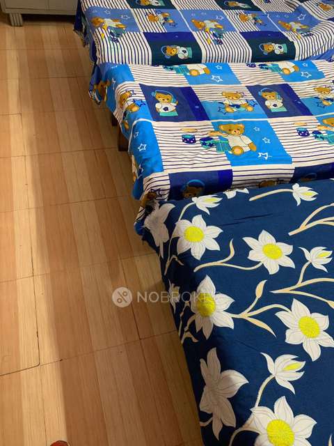 PG for Boys in Sector 15