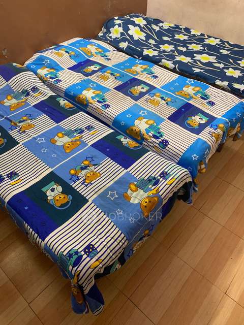 PG for Boys in Sector 15