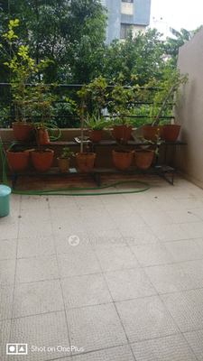 2 BHK Flat In Shiv Ganga Society for Rent  In Wakad