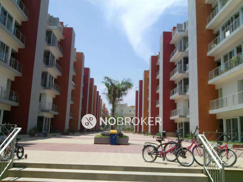 2 BHK Flat In Krishvi Gavakshi for Rent  In  Kadubeesanahalli
