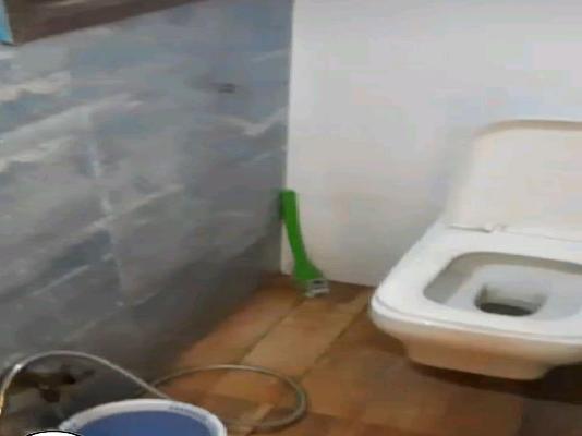 1 BHK Flat In Mangeshi Paradise For Sale  In Shahad