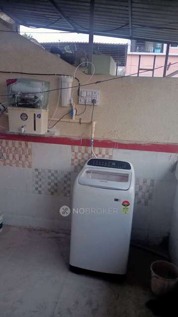 PG for Anyone in  Sector 12 