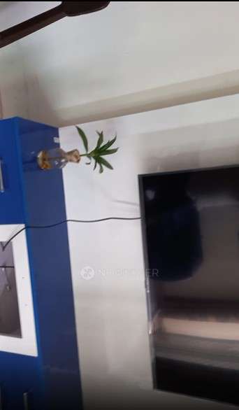 3 BHK Flat In Jaypee Aman for Rent  In Sector 151