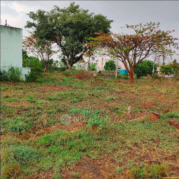 Plot For Sale  In Slv In Neelasandra