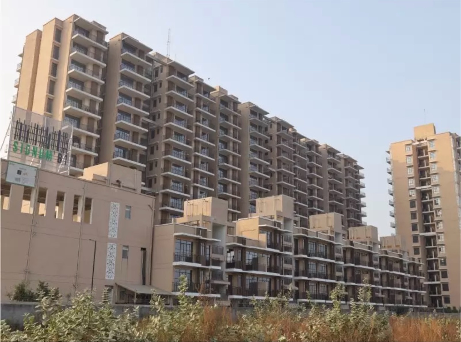 Signature Global Synera