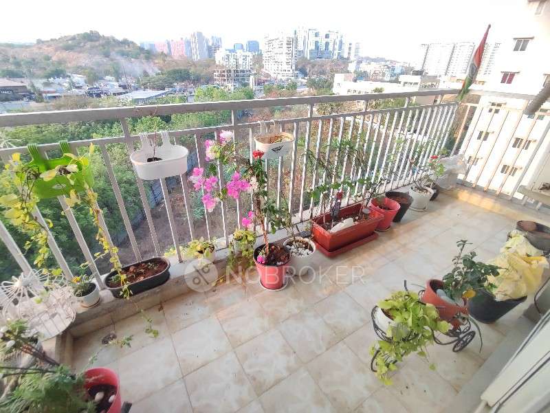 4 BHK Flat In Jains Carlton Creek For Sale  In Gachibowli, Hyderabad