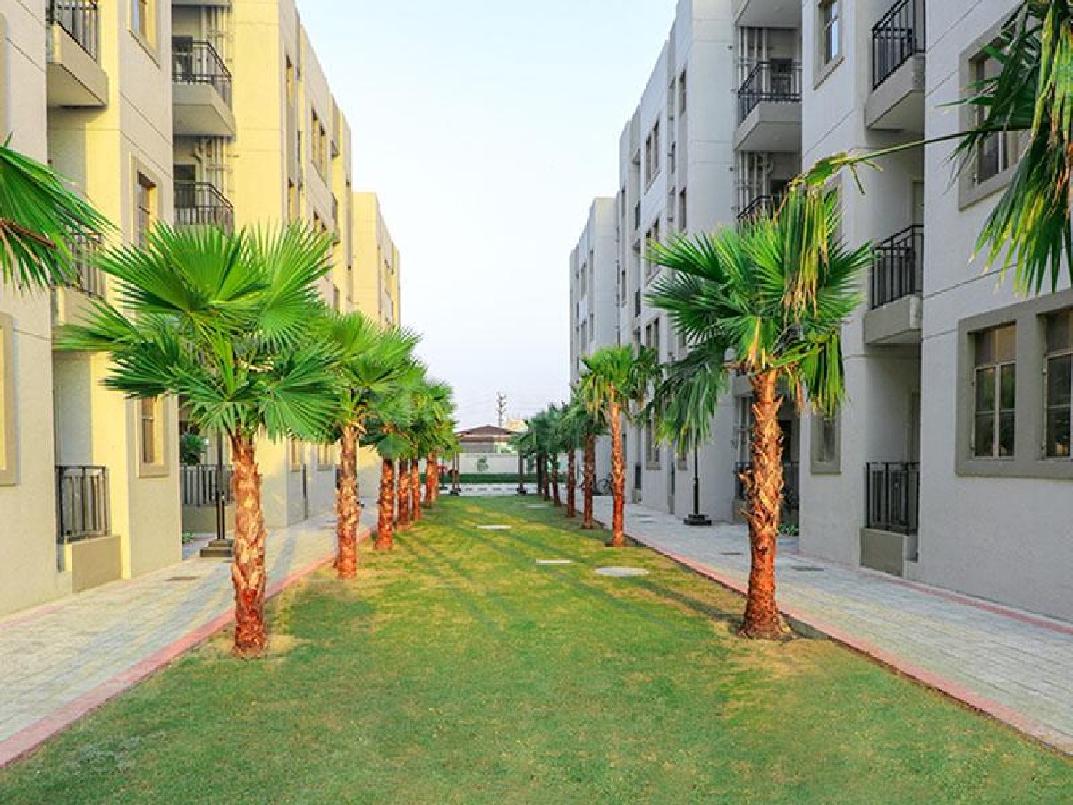 Signature Global Solera