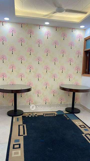 PG for Girls in  Razapur Khurd