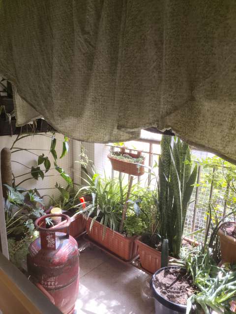 3 BHK Flat In Snn Raj Green Bay For Sale  In Electronic City Phase 2