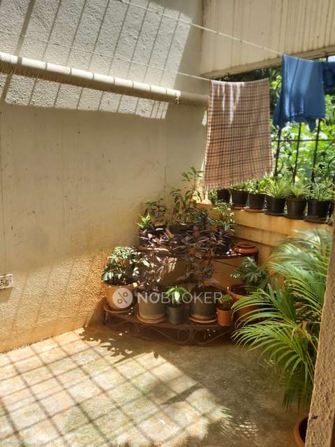 3 BHK Flat In Gera Greens  for Rent  In Kondhwa