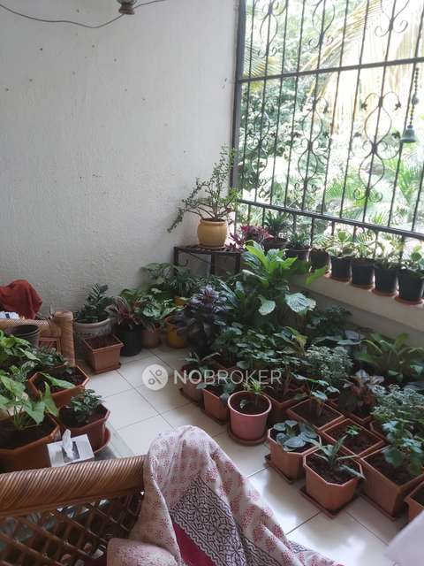 3 BHK Flat In Gera Greens  for Rent  In Kondhwa