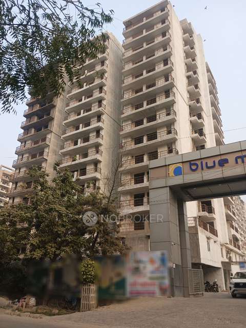 2 BHK Flat In Bluemoon Homes For Sale  In Raj Nagar Extension
