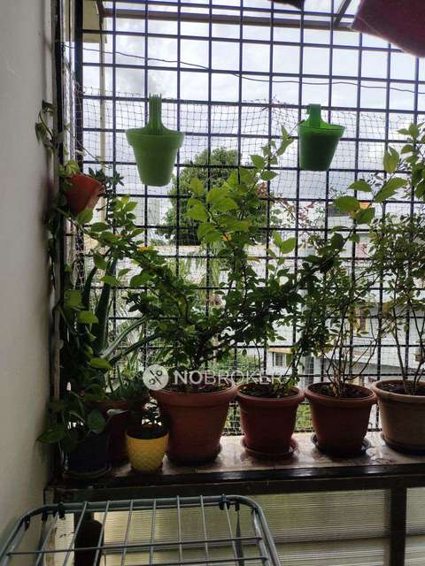 3 BHK Flat In Jbk Ganpathi For Sale  In Vidyaranyapura