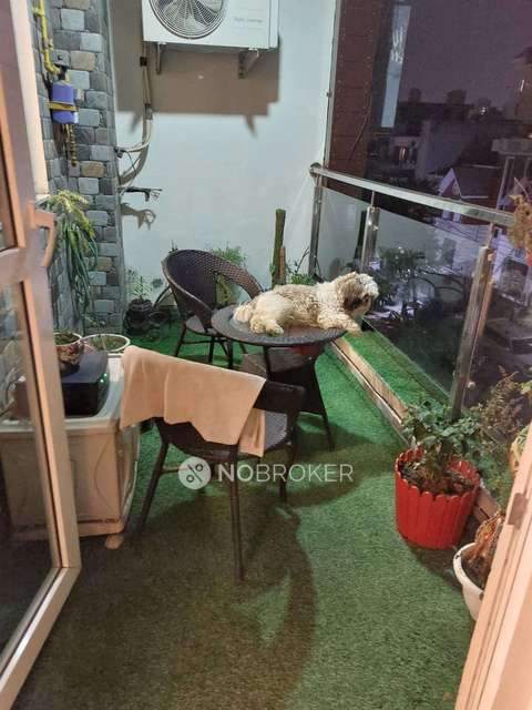 3 BHK House For Sale  In C25v+q34, Sohna - Gurgaon Rd, Block S, Uppal Southend, Sector 49, Gurugram, Haryana 122018, India