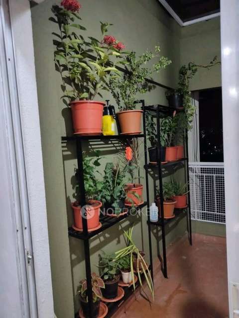 2 BHK Flat In Kohinoor Ambrosia For Sale  In Hadapsar