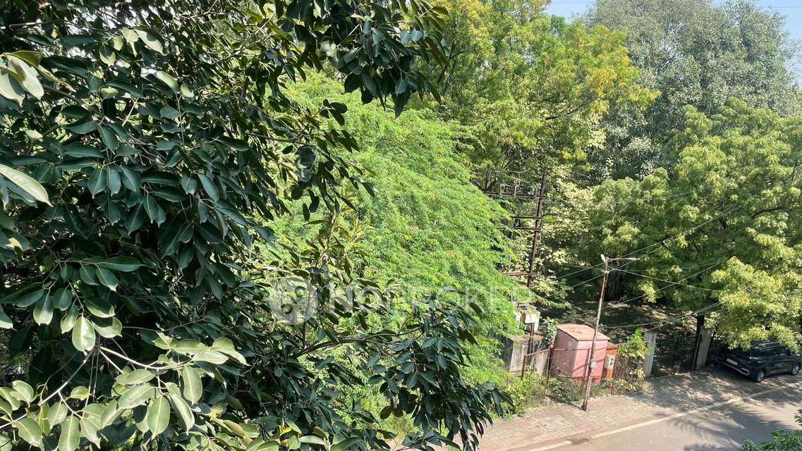 3 BHK Flat In Maple Nest for Rent  In Kondhwa