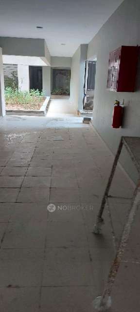 3 BHK Flat In Rohan Abhilasha  for Rent  In Wagholi