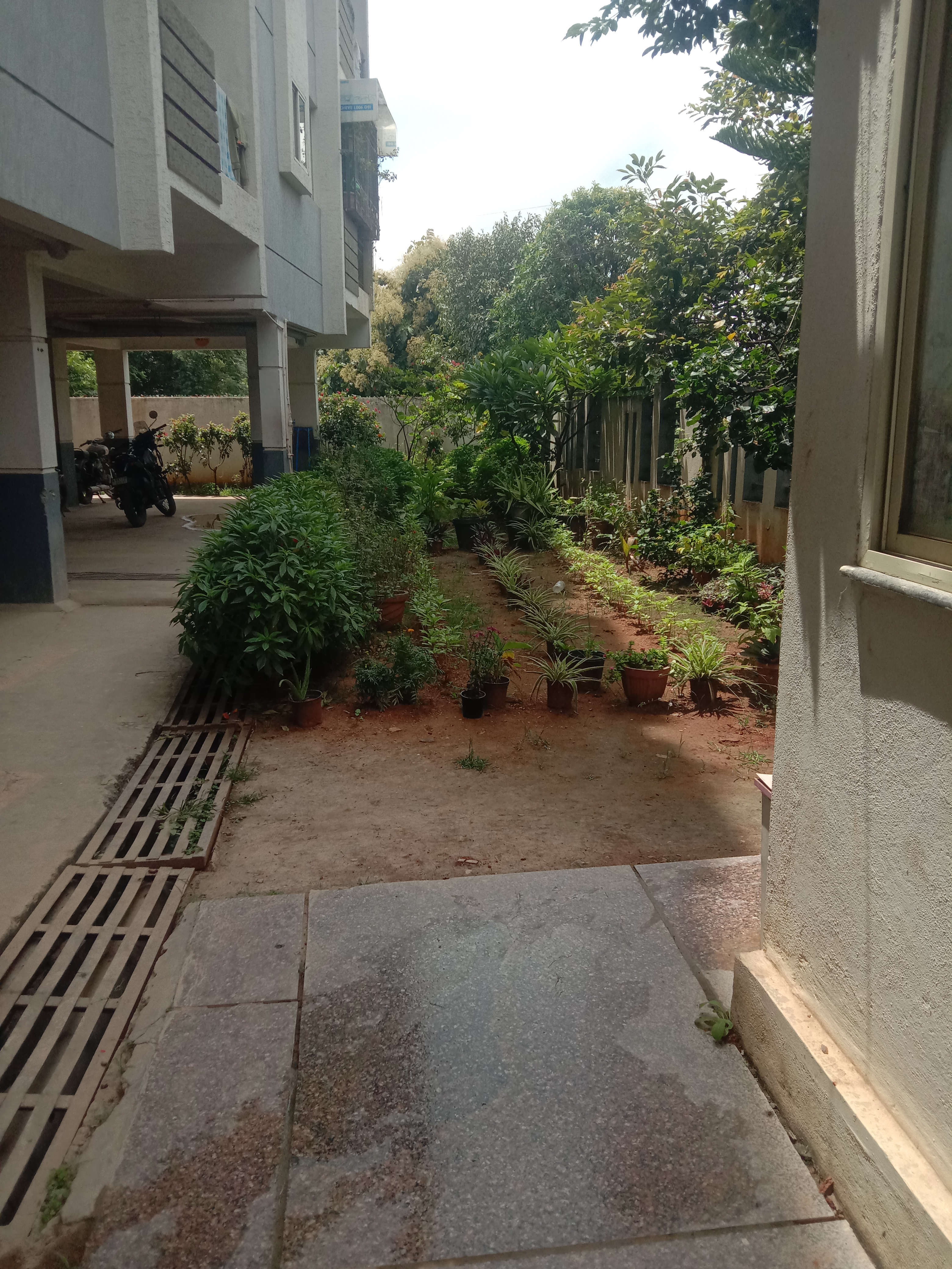 Dhiraan Newyork Meadows