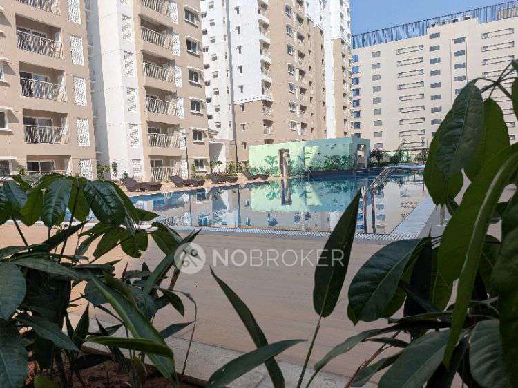 3 BHK Flat In Prestige Green Gables For Sale  In 1a, Munireddy Layout, Kadubeesanahalli, Panathur, Bengaluru, Karnataka 560103, India