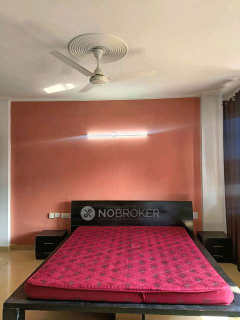1 BHK Flat In Hewo Apartments Gurgaon for Rent  In Sector 47