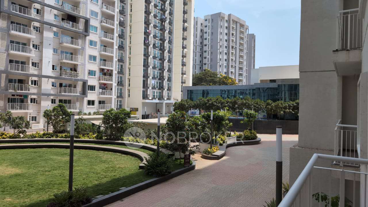 Raintree Boulevard, Byataranyapura Sahakar Nagar Rent WITHOUT