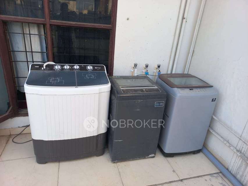 PG for Anyone in Sector 38