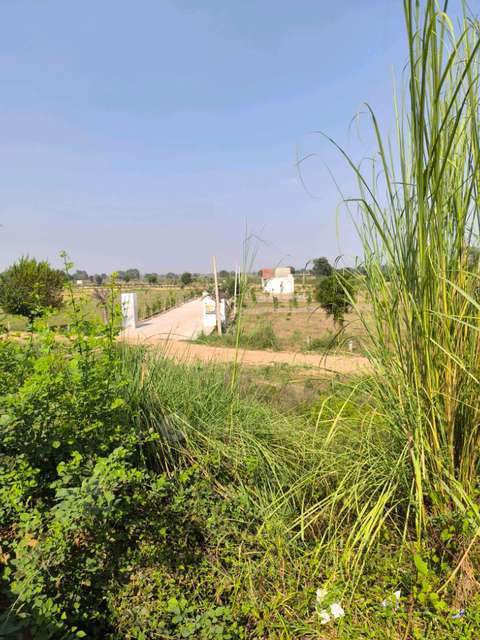Plot For Sale  In Yamuna Society In D22, Greater Noida, Uttar Pradesh 201312, India