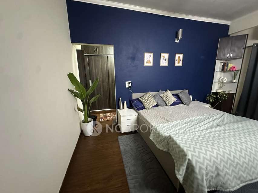 Single Room for Male In 3 BHK  In Antriksh Forest, Sector 77 In Sector 77