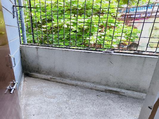 2 BHK Flat In Amarjyoti Society for Rent  In Amar Jyoti, Hadapsar 