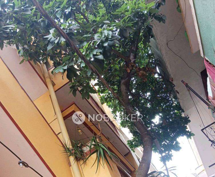 1 BHK Villa In Sb for Rent  In Banaswadi