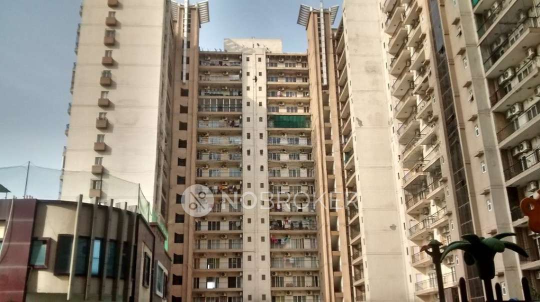 3 BHK Flat In Antriksh Nature, Sector 52 For Sale  In Sector 52