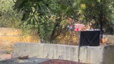 Plot For Sale  In Rani Bagh