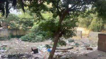 Plot For Sale  In Rani Bagh