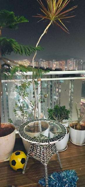 2 BHK Flat In Megapolis Symphony for Rent  In Hinjewadi