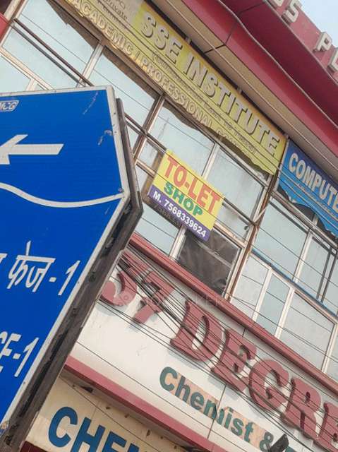 Industrial Shed in Sector 5, Gurgaon for Rent 