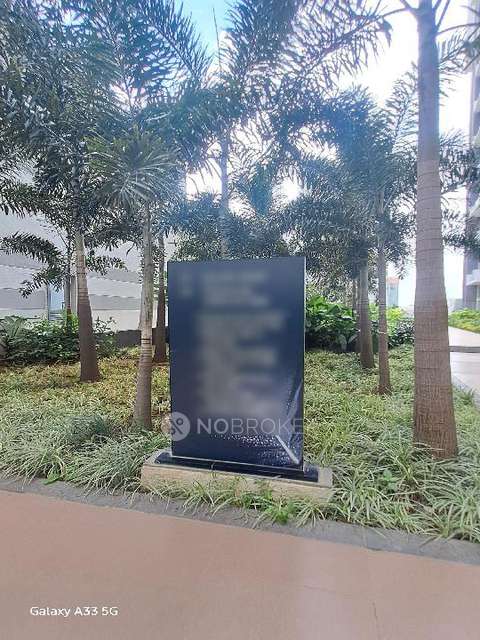 3 BHK Flat In Kalpataru Jade For Sale  In Baner