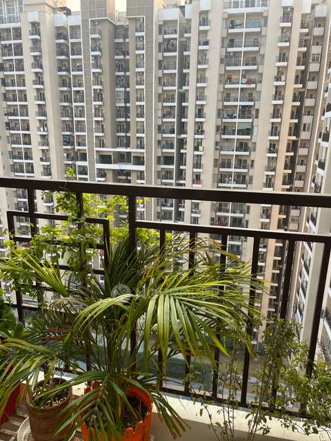3 BHK Flat In Ace Divino  For Sale  In Ace Divino Noida