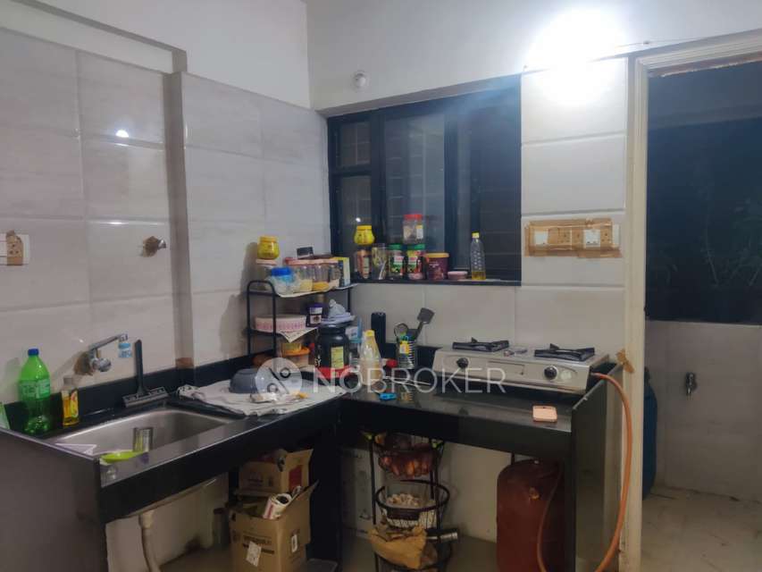 1 BHK Flat In Ajinkya Park for Rent  In Baner