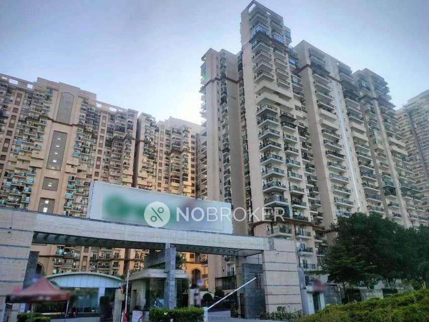 3 BHK Flat In Saviour Greenarch, for Rent  In Amrapali Dream Valley