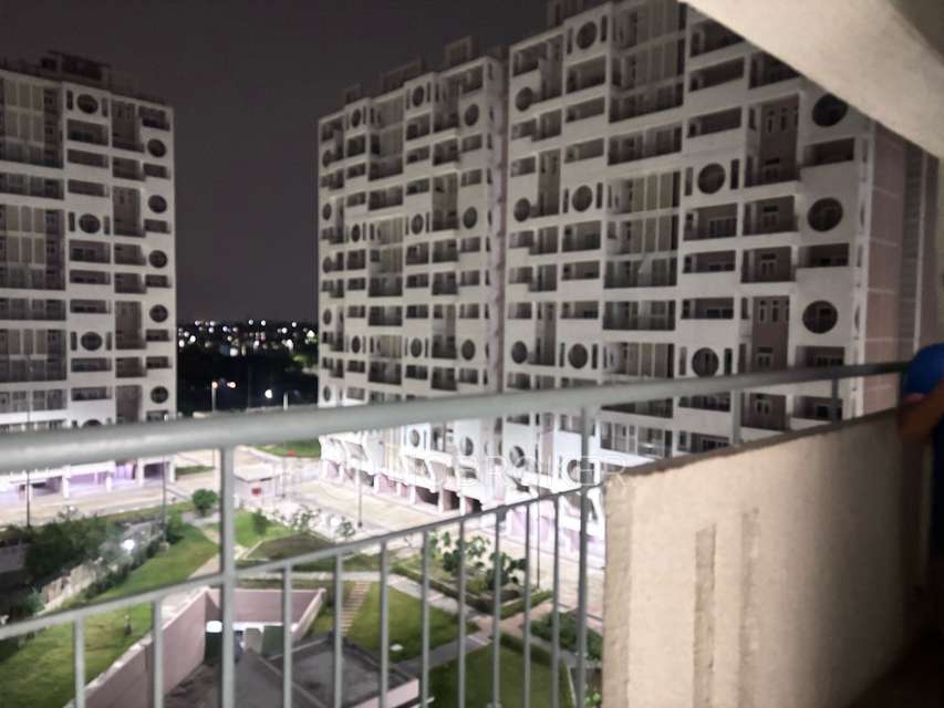 1 BHK Flat In Dda Flats for Rent  In Narela