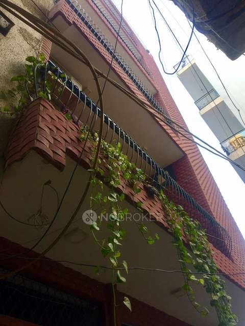 PG for Girls in Hauz Khas